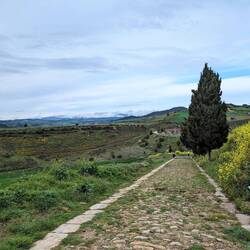 This is literally a Roman road. WILD. My phone from 3 years ago doesn't even work.