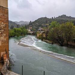 Estella, you've runneth over!