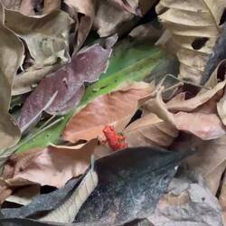 Namensgeber für den Strand