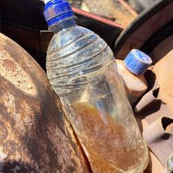 Der Köder: Hunde-Pipi 💛