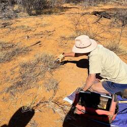 Am Ende ist von der Falle nichts mehr zu sehen