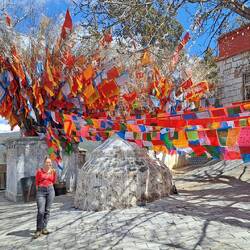 Einen Ausflug zum "100 chicken" Tempel haben wir auch gemacht