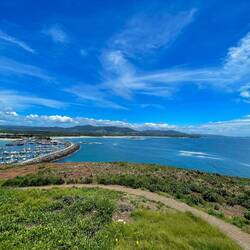 Ausblick von Muttonbird Island 🏝️