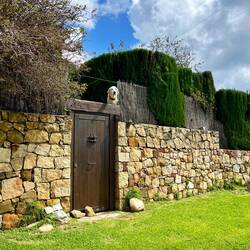 Nachdem ich ihn sogar schon taufte, blieb er dann doch..