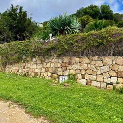 ..lieber zurück bei seinen Nachbarn.