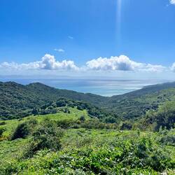..auf den kilometerlangen Weiden verweilen dürfen.