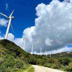 Neben einer großen Anzahl an Windrädern finden sich in der Region vor allem..