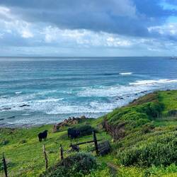 ..Meer entlang - danach bleibt der Weg im Landesinneren.