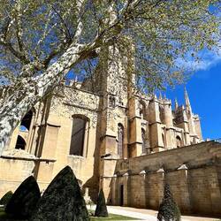 Cathédrale Saint-Just-et-Saint-Pasteur