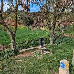 More extremely aesthetic water fountains