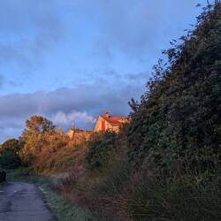 What gorgeous LIGHT today