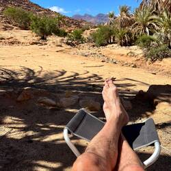 Relaxen unter Palmen