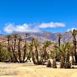 Herrliche Landschaft