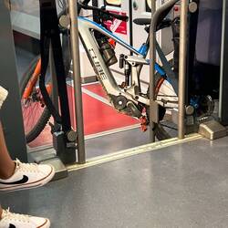 Schätzle gut gesichert im Zug