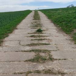 Endlich mal wieder die alten DDR Betonplattenwege!