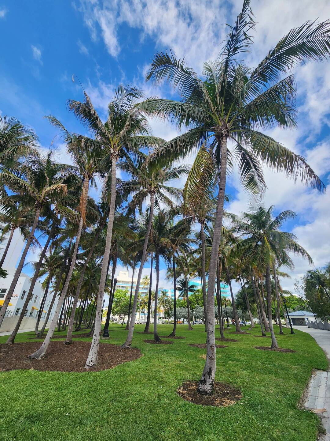 South Point Park