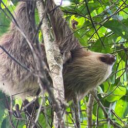 Ned nur z'fultier esch glücklech gsi🙂