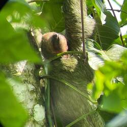 Eifach mau d'sunne chli gniesse🌞