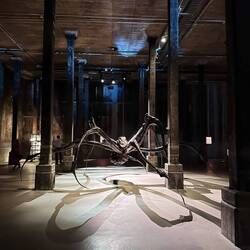 Im Tank ist es ein eigenes Ambiente! Hervorragend mit den Licht- und Schattendetails