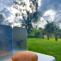 Burger in Widgee 🍔