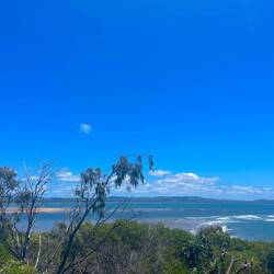 Seventeen Seventy 🏝️