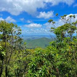 Mount Archer Lookout in Rockhampton 🗻👀