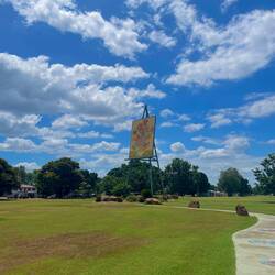 Morton Park 🧑‍🎨