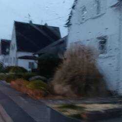 Wieder daheim🤷‍♀️