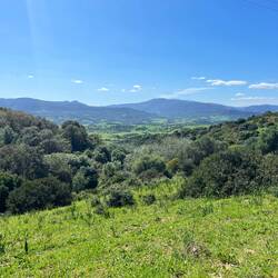 ..wieder etwas Natur :)