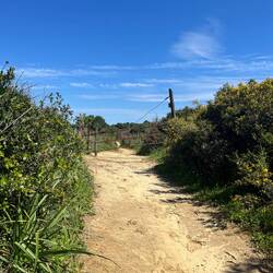 Irgendwann erreichte ich dann doch..