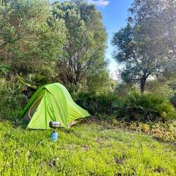 ..ich es heute Abend wieder trocken habe.