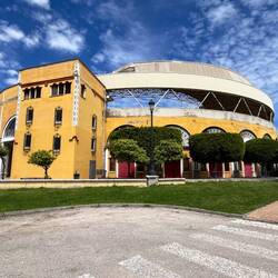 Leider sind in Andalusien immer noch Stierkämpfe erlaubt, auch wenn die Kritik wächst.