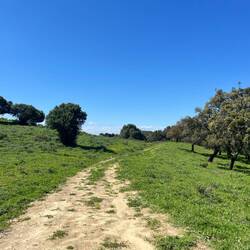 Doch bevor ich mich an dem satten Grün gewöhnen kann, beginnt..