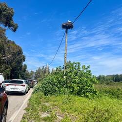 Zumindest sorgen hin und wieder ein paar Störche für Abwechslung.