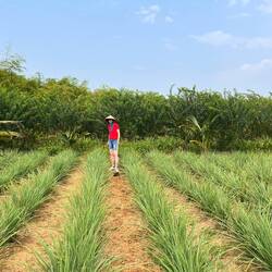 Karin bei Unkrautarbeiten
