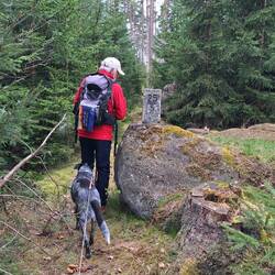 Grenzsteine finden überall ihren Platz!
