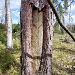 Das haben wir sehr häufig gesehen, aber keine Ahnung was der Grund dafür ist!?