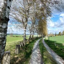 ...und durch die Steine sehr deutlich markiert!