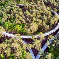 Der Fuss-und Fahrradweg „Fietsen door de Boomen"