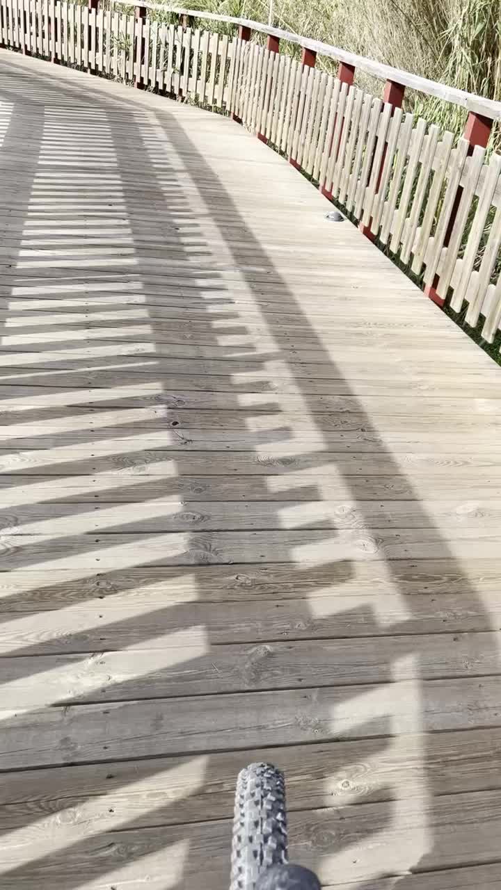 Radweg an der Küste