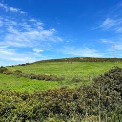 Ganz schön grün noch