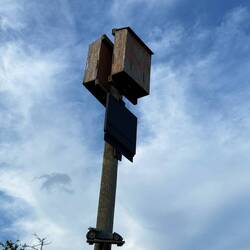 Bat houses and bat mobile