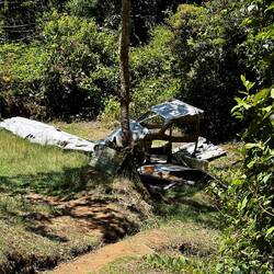 A plane crash we found in the forest, the pilot was killed
