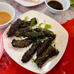 Frühlingsrolle mit Hackfleisch