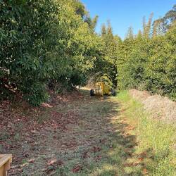 Rainers neue Maschine