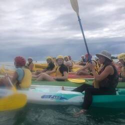 heute waren keine Delfine in der Nähe... war trotzdem ein Erlebniss auf den Wellen zu rudern