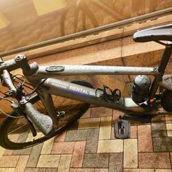 After a long reflection, we bought the Specialized, hoping it will work to pull the cart...