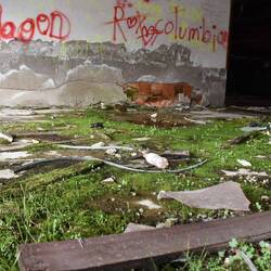 La nature reprend ses droits