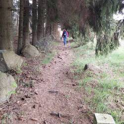 Der Grenzpfad immer wieder anders!