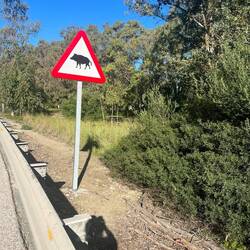 Besonderes Verkehrsschild